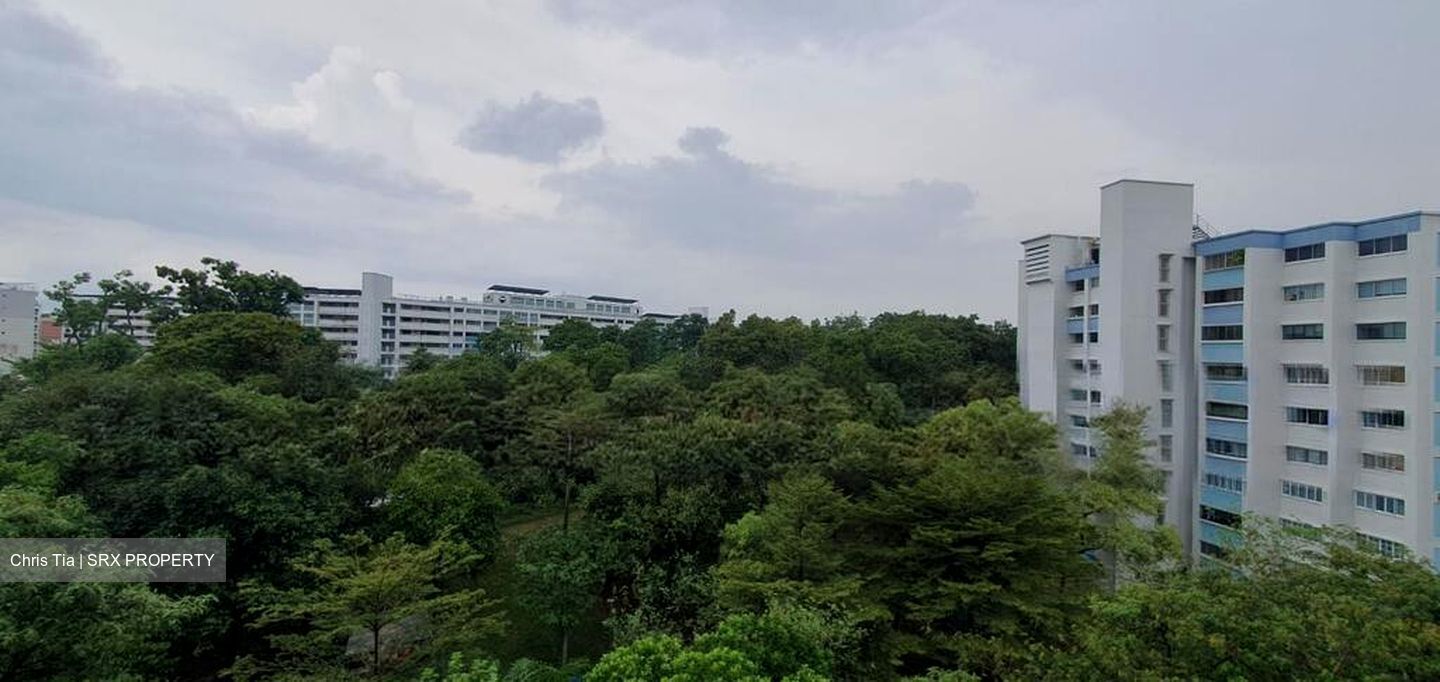 Blk 281 Tampines Street 22 (Tampines), HDB 4 Rooms #517249071